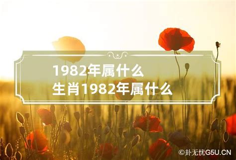 1982年属什么